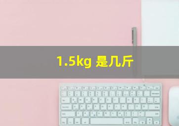 1.5kg 是几斤